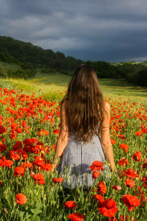 Young woman standing in the middle of vibrant field of red poppies. Cloudy dramatic sky.の写真素材