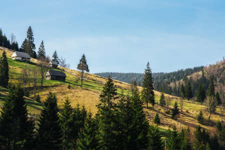 Lovely landscape of green mountain hills covered by forest with small houses.の写真素材