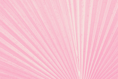 Close up of Pink Tropical Green Leaf Texture. Beautiful Background for Design