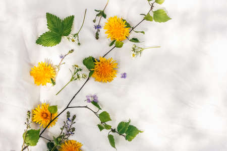 Wild flowers composition on white tissue background. Flat lay, top view. Picture made outdoors in sunny day.の写真素材