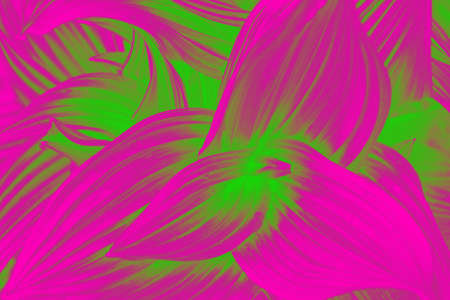 Curved beautiful leaves abstract texture. Pink and green vivid gradient effect. Natural backgroundの写真素材