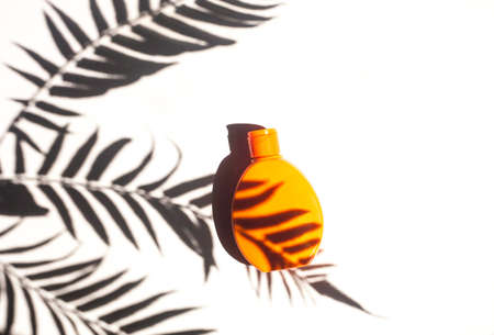 Sunscreen cream, flat lay with tropical palm leaf shadow. White background.の写真素材