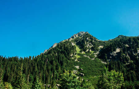 View of beautiful high green rocks in the summer mountainsの写真素材