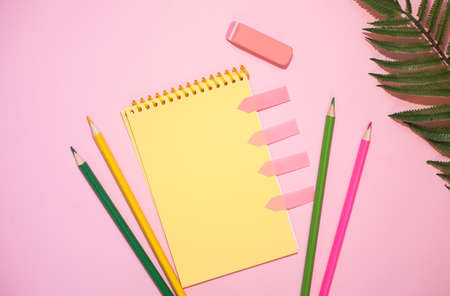 School supplies against pink background. Flat lay, copy space. Fern leaf decoration. Back to school.の写真素材