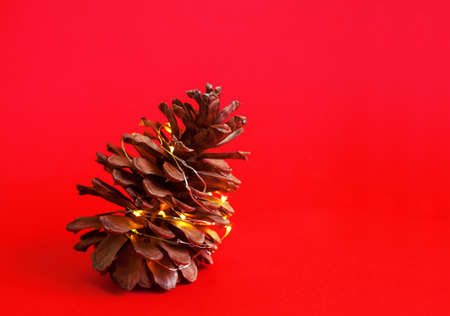 Pine cone with lights, winter holiday christmas vivid red background. Minimal composition with copy space.の写真素材