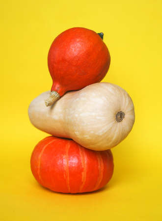Three pumpkins against yellow background. Minimal trendy autumn composition. Concept of halloween, thanksgiving day holidays.の写真素材