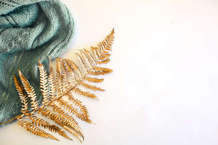 Leaf of golden trendy fern and blue knitted scarf against white background. Minimal flat lay, top view. Copy space.の写真素材