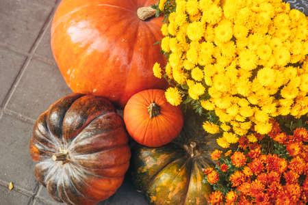 Outdoor autumn or fall decorations with big pumpkins and different flowers. Street decor. Vintage toning.の写真素材