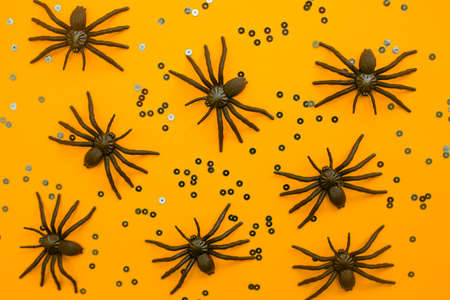 Halloween autumn holiday background with decorative black spiders and confetti against orange. Copy space, top view, flat lay.の写真素材
