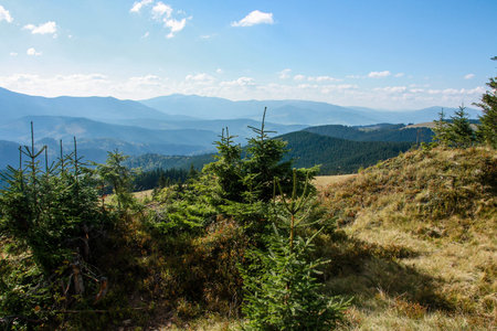 Mountains and green forest picturesque scenery. High peaks. Beautiful landscape.の写真素材