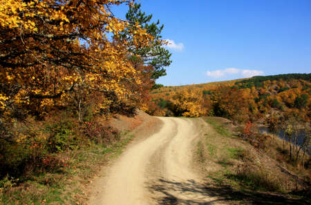 Road in the autumn forest. Beautiful autumn landscape in sunny day. Scenery background.の写真素材