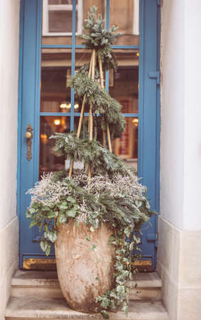Christmas natural unusual tree outside in winter made of tree branches and plants, holiday design ideaの写真素材