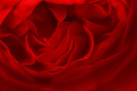 Blurry close up macro of vibrant red roses, perfect romantic card floral background for Valentine's day, greeting card textureの写真素材
