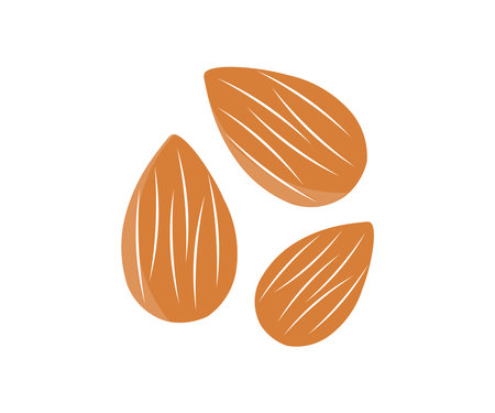Flying almond isolated on white background  logo design. Organic fresh almond, Nuts   Whole, cut, half, slice almond. Full depth of field vector design and illustration.のイラスト素材