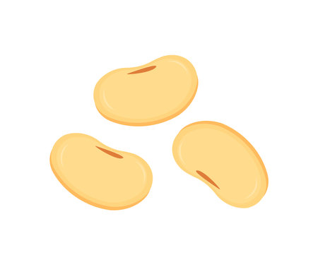 Flat lay of Soybeans  levitate, soya splash nature food logo design. Benefits of Soy, healthy concept vector design and illustration.のイラスト素材