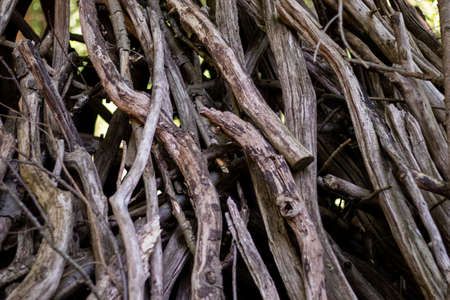 Old dry branches stacked to each other to form a hut - great as natural wooden textureの写真素材