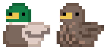 Male and female mallard duck set - isolated, vectorのイラスト素材