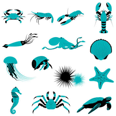 Set of Underwater Aquatic Shell Animals   and Creatures iconsのイラスト素材