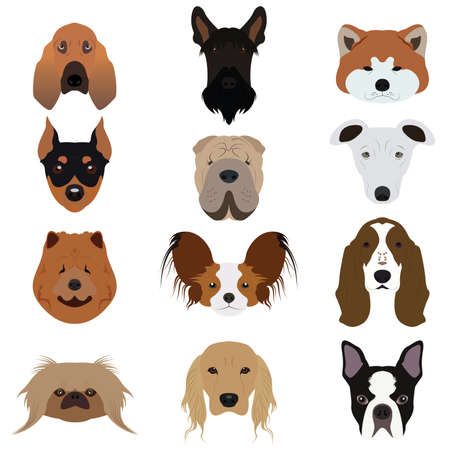 Set and type of many Dog Vectors and Iconsのイラスト素材