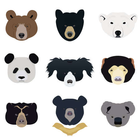 Set of Bear and Wild Animals Vector and Iconのイラスト素材