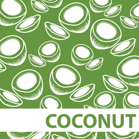 Set of Cut Coconut Background Vectorのイラスト素材