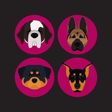 Dog and Puppy Set Doberman Vector and Iconのイラスト素材