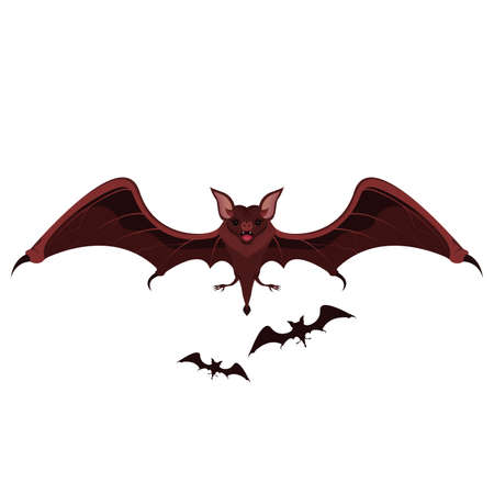 Flying Bat and Vampire Vector and Iconのイラスト素材