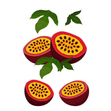 Passion Fruit with Leaf Icon.のイラスト素材