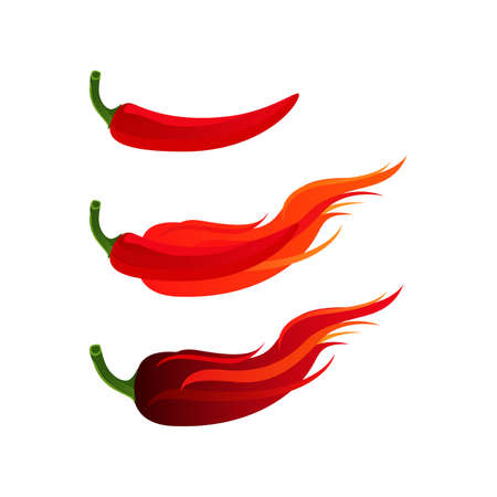 Chilli Hot and Spicy Herb with Fire Burn Vector and Iconのイラスト素材