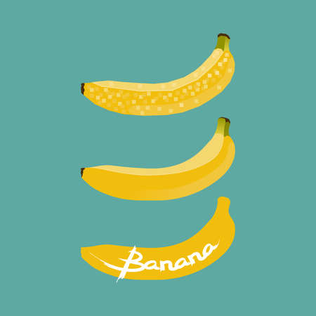 Banana Tropical Fruit Vector and Iconのイラスト素材