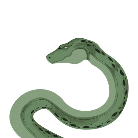 Snake Python Boa Serpent Reptile Animal Vector