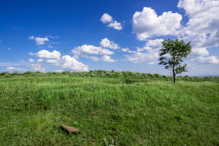 natural grassland, Zhangjiakou, Hebei, China