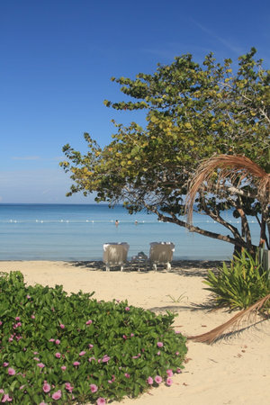 Negril tropical resort beachの写真素材