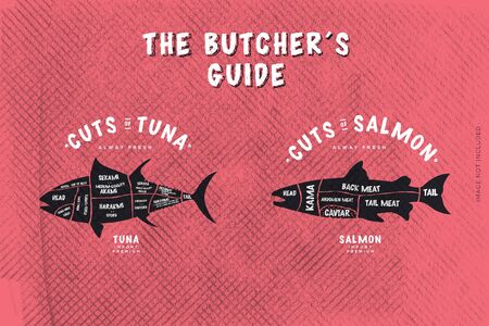 Butcher's Guide cut tuna and samon fishのイラスト素材
