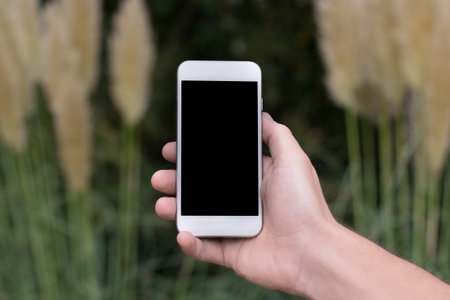 Hand holding phone at the lake