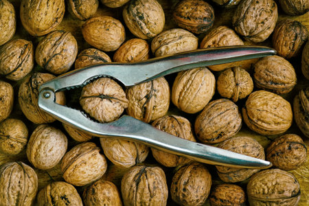 pile of walnuts with nutcracker