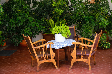 wooden table and chairs in gardenの写真素材