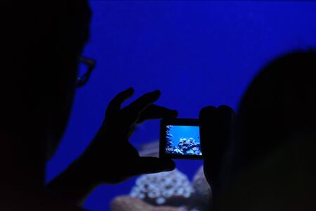 taking pictures in aquariumの写真素材