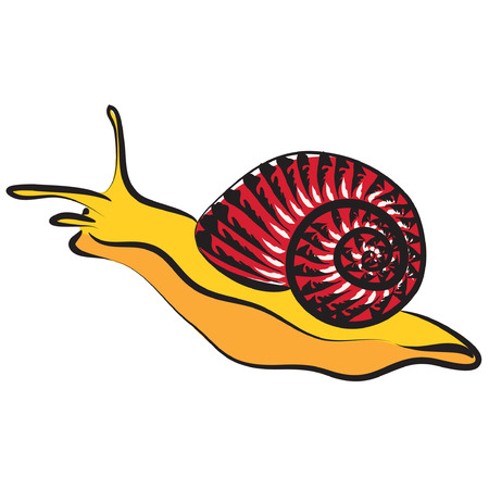 snail vectorのイラスト素材