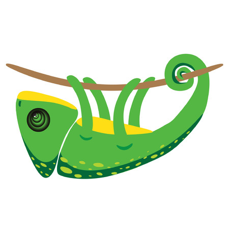 Chameleon hanging on branchのイラスト素材