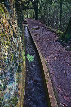 A small stream flows through the woods in the middle of the forest.
