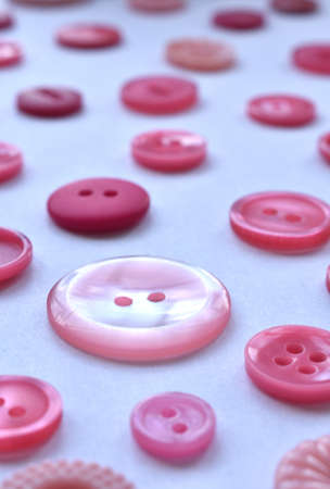 pink sewing buttons on whiteの写真素材