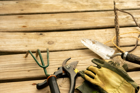 garden tools on wood