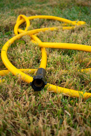 a yellow kinked garden hose.の写真素材