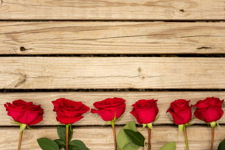 red roses on wood slatesの写真素材