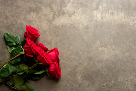 red roses on gray chalkboardの写真素材