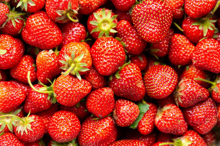close up of many strawberriesの写真素材