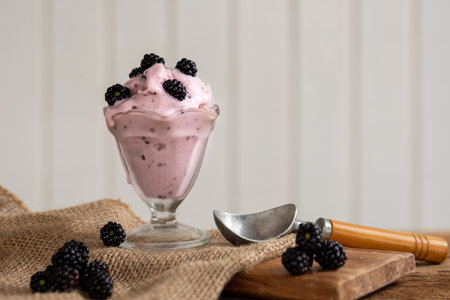 fresh blackberry icecream with fresh berriesの写真素材