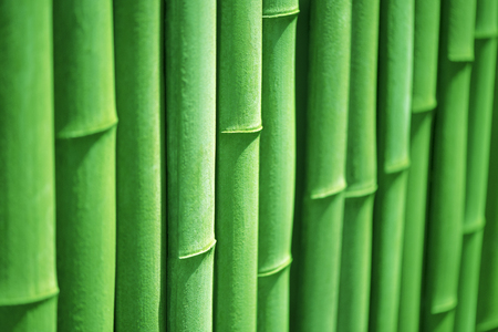 Bamboo.Line.Bamboo fence.の写真素材