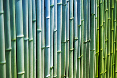 Bamboo.Line.Bamboo fence.の写真素材